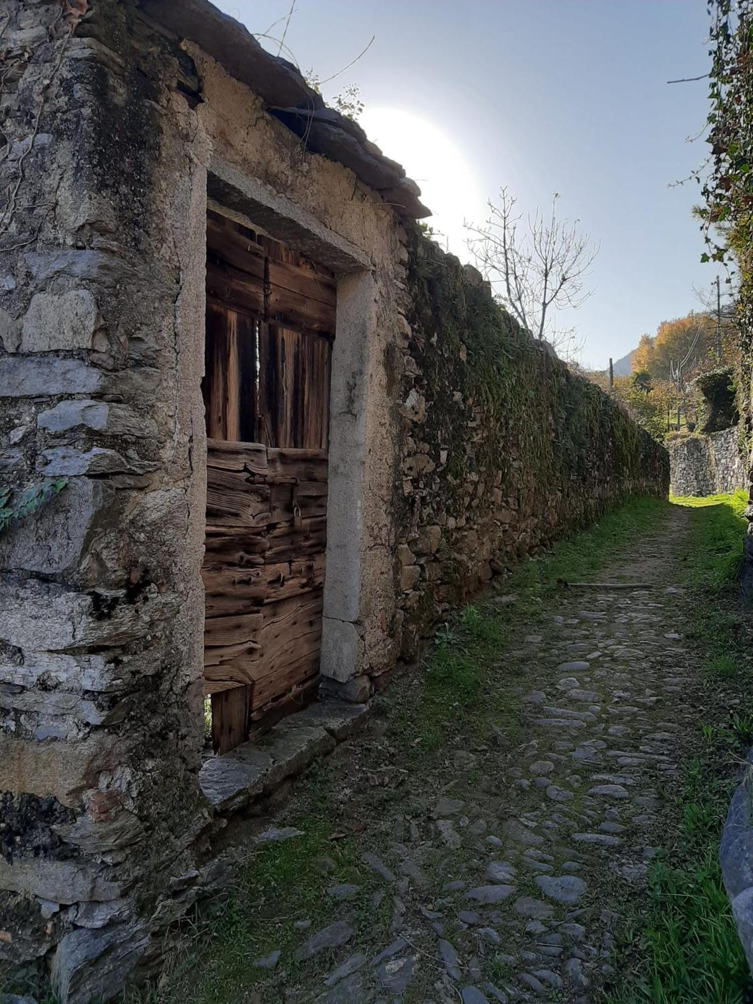 Residenza Le Camelie Apartamento Oggebio Exterior foto